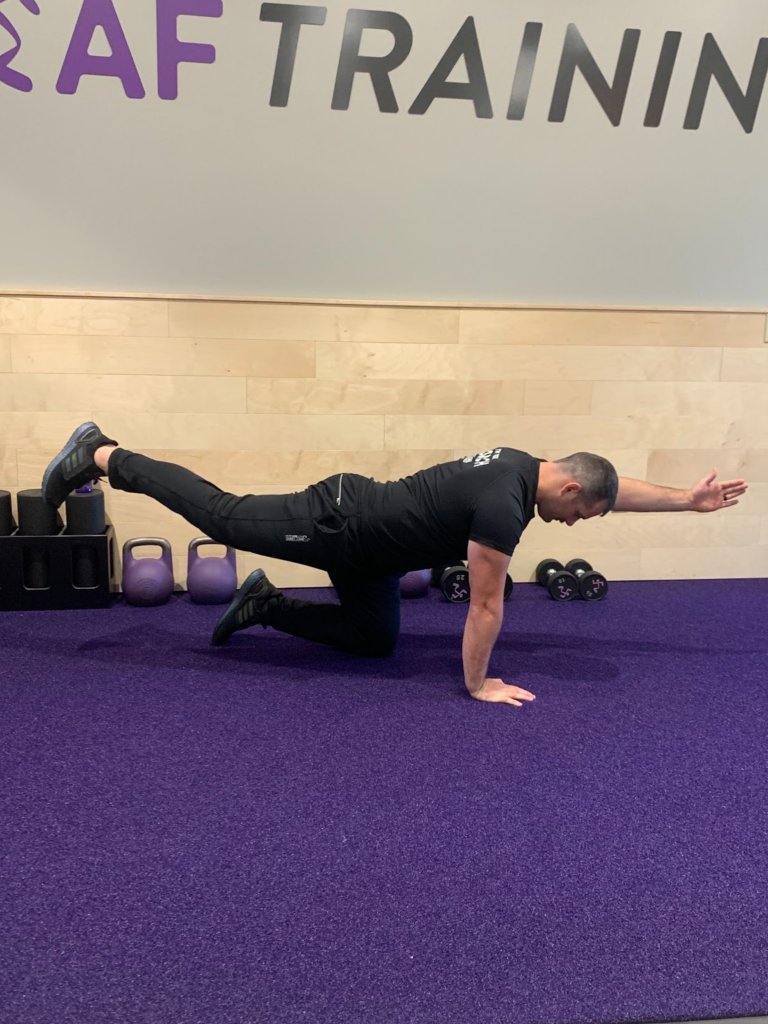 Beginner Strength Workout How To Get Started In The Gym Anytime Fitness Beginner Strength Workout How To Get Started In The Gym Anytime Fitness