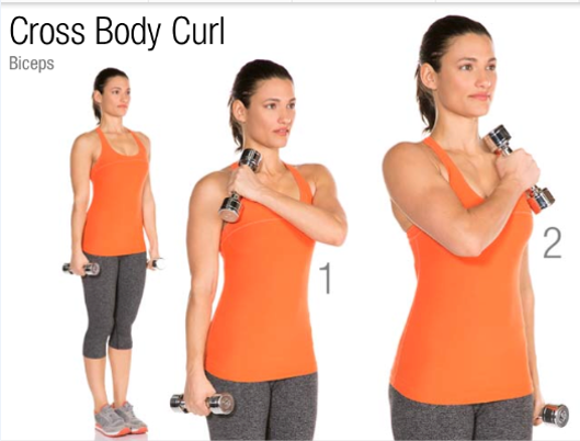 Curl body. Cross body Bicep Curl. Able Arm body curly.