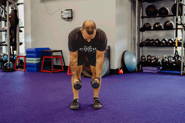 Rear delt fly demonstration GIF