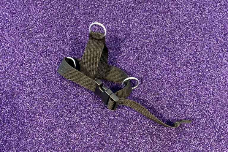 Ankle strap.