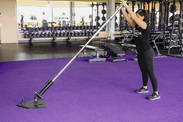 Landmine Rotation Exercises Landmine Rotations Exercise Guide WZZSJG