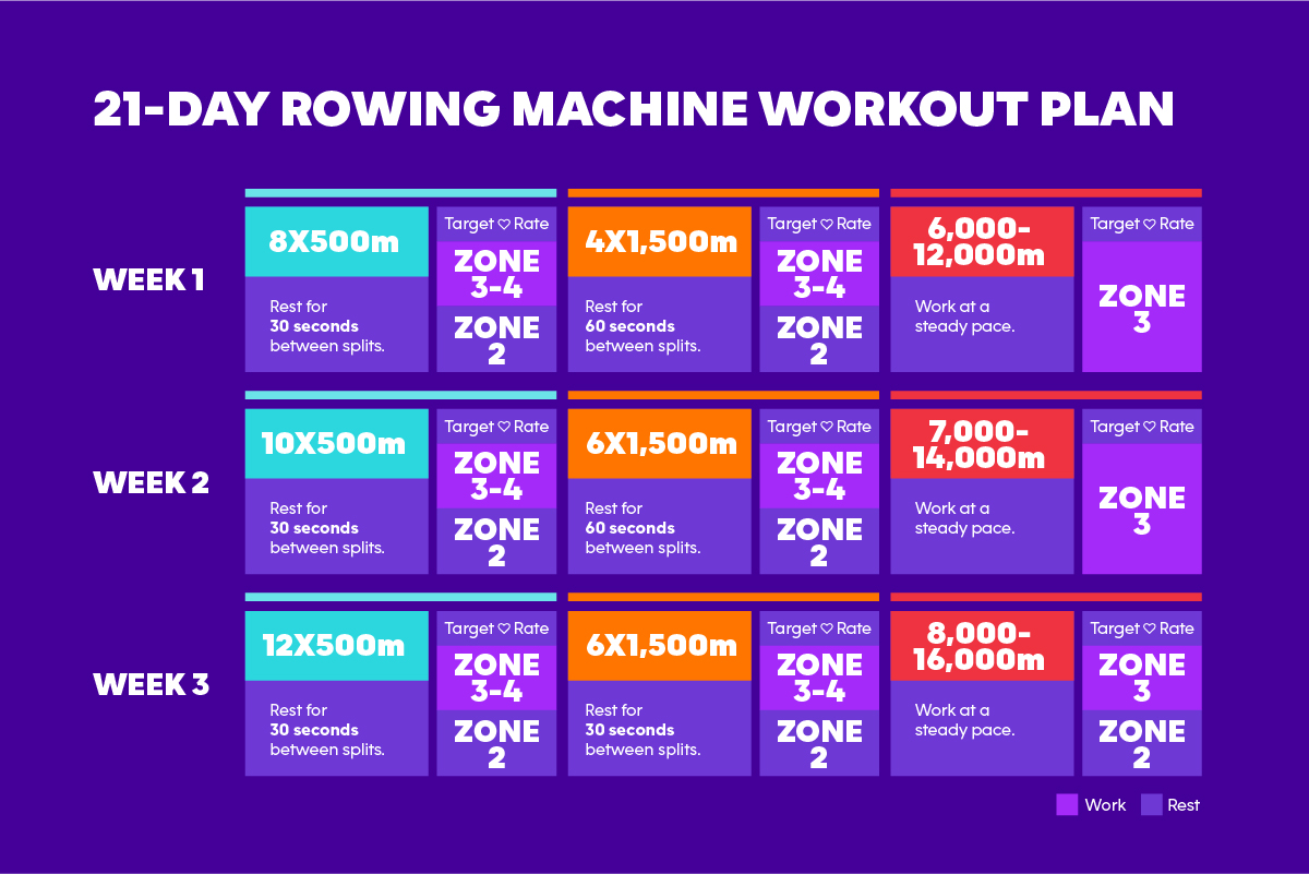 The Ultimate 21Day Rowing Machine Workout Plan Anytime Fitness