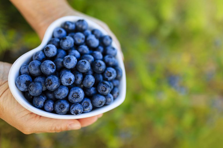 Two hands holding a heart-shaped bowl full of blueberries.