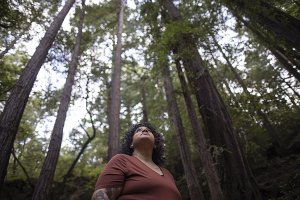 Candie walking through a forest with very tall trees, looking upward toward the sky.